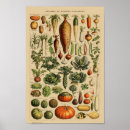 Suche nach busch poster Botanisch