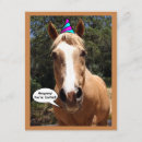 Suche nach palomino einladungen Party