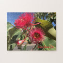 Suche nach eukalyptus puzzle Blume