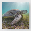 Suche nach turtle wanduhren Ocean