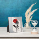 Suche nach rote rosen fotoplatten Blume