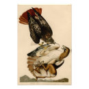 Suche nach beuten kunst Vögel