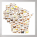 Suche nach spezies poster Illustration