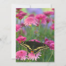 Suche nach orange schwarzer schmetterling karten Blume