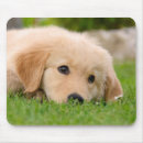 Suche nach niedlicher welpe mousepads Baby