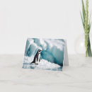 Suche nach pinguine kleine grußkarten Blau