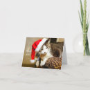 Suche nach weihnachtsmannmütze karten Kitty