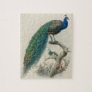 Suche nach vintager pfau puzzle Gemälde