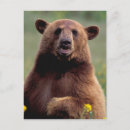 Suche nach wildtiere postkarten Natur