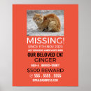 Suche nach haustiere poster Katze