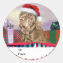 Suche nach mastiffs geschenkverpackung Urlaub