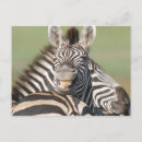 Suche nach reserven postkarten Natur