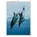 Suche nach amos postkarten Delfin