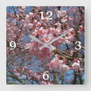 Suche nach kirschblüte wanduhren Rosa