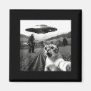 Suche nach alien magnete Lustige katze