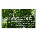 Suche nach tropen visitenkarten Grün