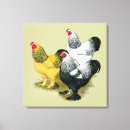 Suche nach hahn leinwandbilder Huhn