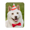 Suche nach alles gute zum geburtstag magnete Niedlich