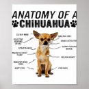 Suche nach hunde anatomie poster Hundeliebhaber
