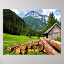 Suche nach lumberjack poster Wald