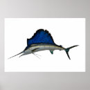 Suche nach segelfisch poster Florida
