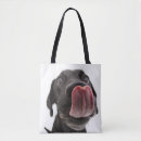 Suche nach nase taschen Welpe