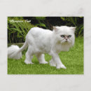 Suche nach traurige augen postkarten Foto