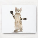 Suche nach neugier mousepads Niedlich