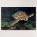 Suche nach meereswelt puzzle Schildkröte