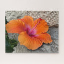 Suche nach hibiskus puzzle Orange