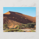Suche nach namibia postkarten Wüste