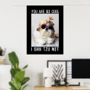 Suche nach shih tzu hunde poster Haustiere