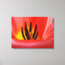 Suche nach kunstdrucke leinwandbilder Blumenkunst