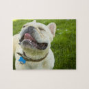 Suche nach bulldog puzzle Spaß