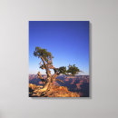 Suche nach schlucht leinwandbilder Landschaft