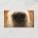 Suche nach nase visitenkarten Hund