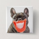 Suche nach französische bulldoggen buttons Tiere
