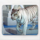 Suche nach weißer tiger mousepads Zoo