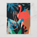 Suche nach tropische vögel postkarten Flamingo