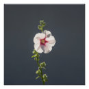 Suche nach rosa grau poster Blüte