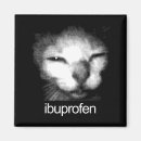 Suche nach lustige katzen magnete Meme