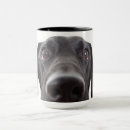 Suche nach schwarzer labrador retriever welpe tassen Haustier