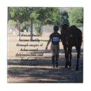 Suche nach reiten fliesen Reiter