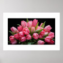 Suche nach tulpen poster Zuhause
