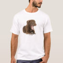 Suche nach studioschuß tshirts Braun
