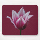 Suche nach tulpen mousepads Natur