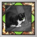 Suche nach süße katze poster Weiß