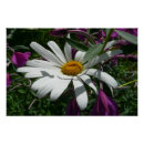 Suche nach fireweed poster Natur