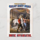 Suche nach horses postkarten Pferd