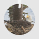 Suche nach tierentwürfe Wild lebende tiere